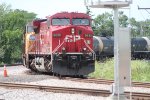 CP 8630 & UP 4194 (5)